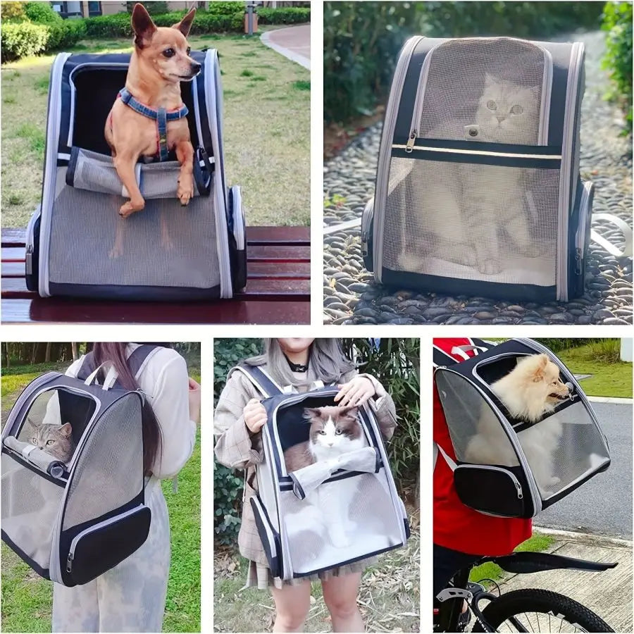 Backpack Pet Carriers for Cats and Dogs Innovative Traveler Bubble