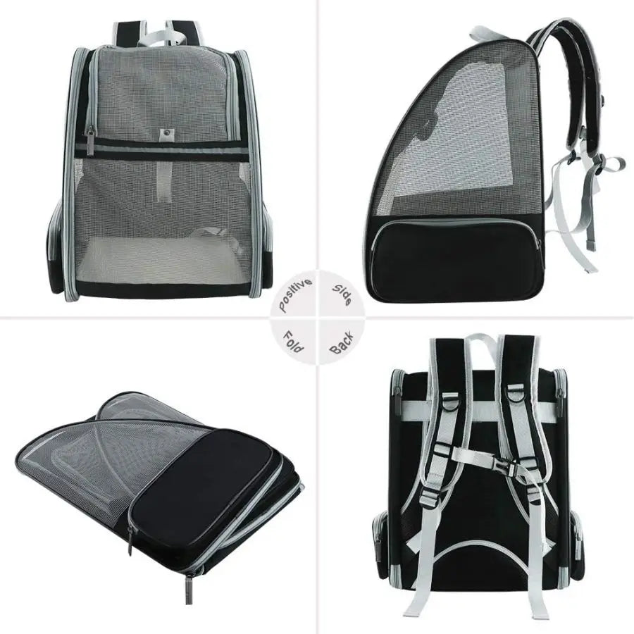 Backpack Pet Carriers for Cats and Dogs Innovative Traveler Bubble